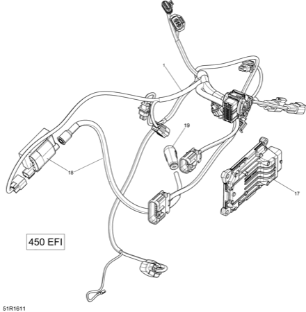 10- Engine Harness and Electronic Module - 450 EFI