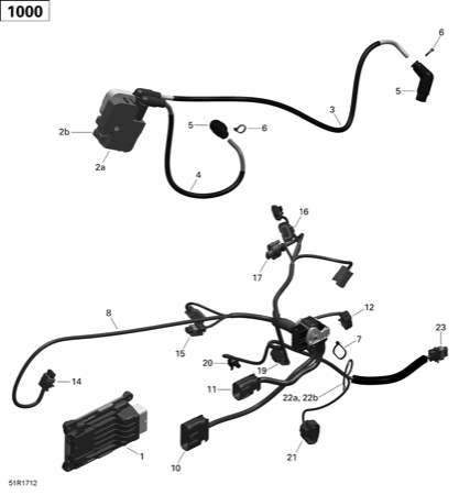 10- Engine Harness and Electronic Module - 1000 EFI (Package T3)