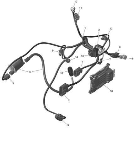 10- Electric - Engine Harness And Electronic Module - 450 - North America