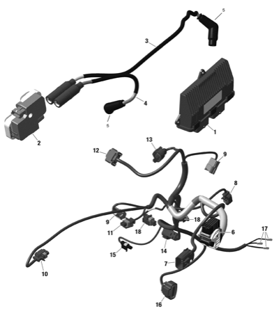 10- Engine Harness And Electronic Module Outlander Except XMR