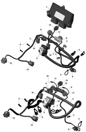 01- Rotax - Engine Harness And Electronic Module