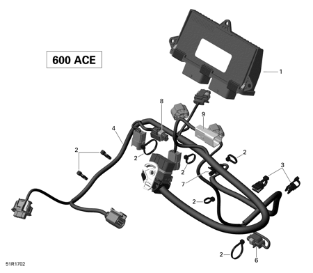 10- Engine Harness and Electronic Module - 600 ACE