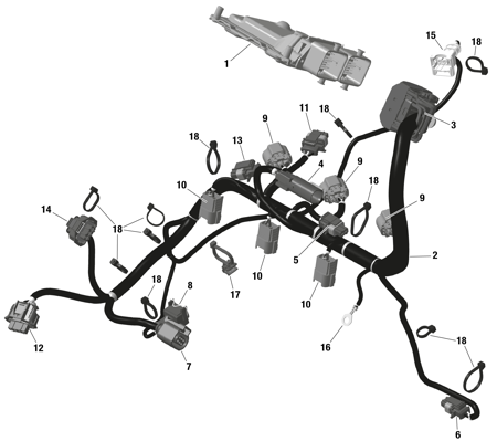 01- ROTAX - Engine Harness And Electronic Module